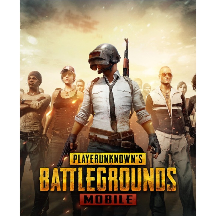 Joc PUBG Mobile 300 + 25 UC, Key Global (Cod Activare Instant)