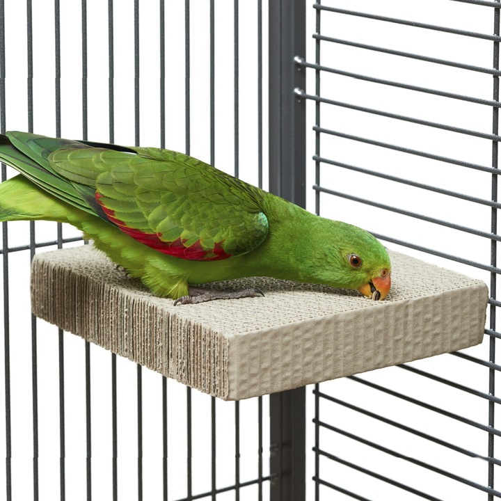 Играчка за папагали, Parrot Planet, Картон, За храна, 20 x 20 x 4 см, Сив