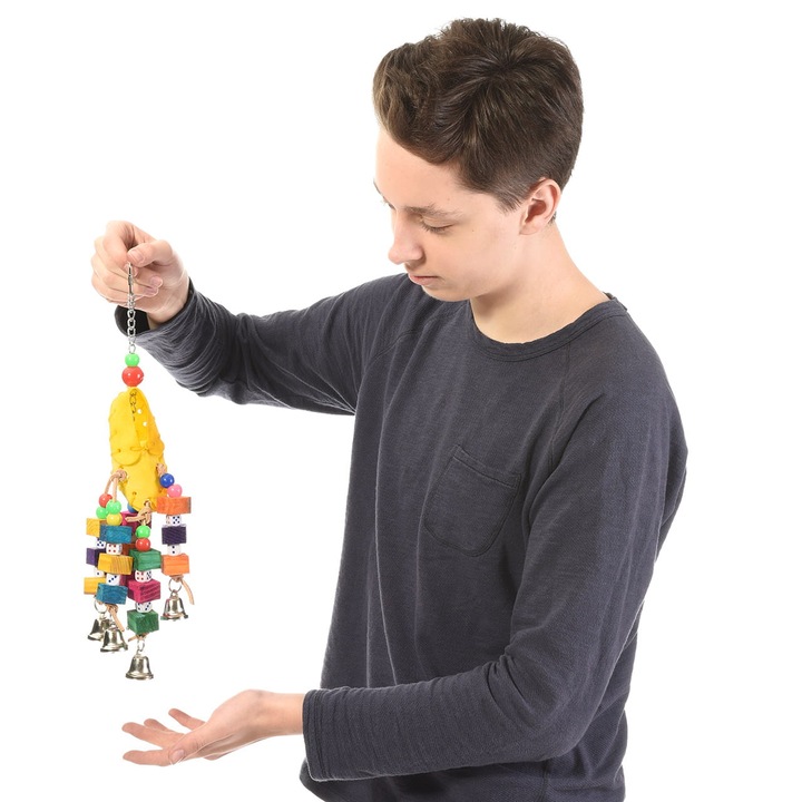 Jucarie Parrot Planet, stimulare fizica si mentala, multicolor