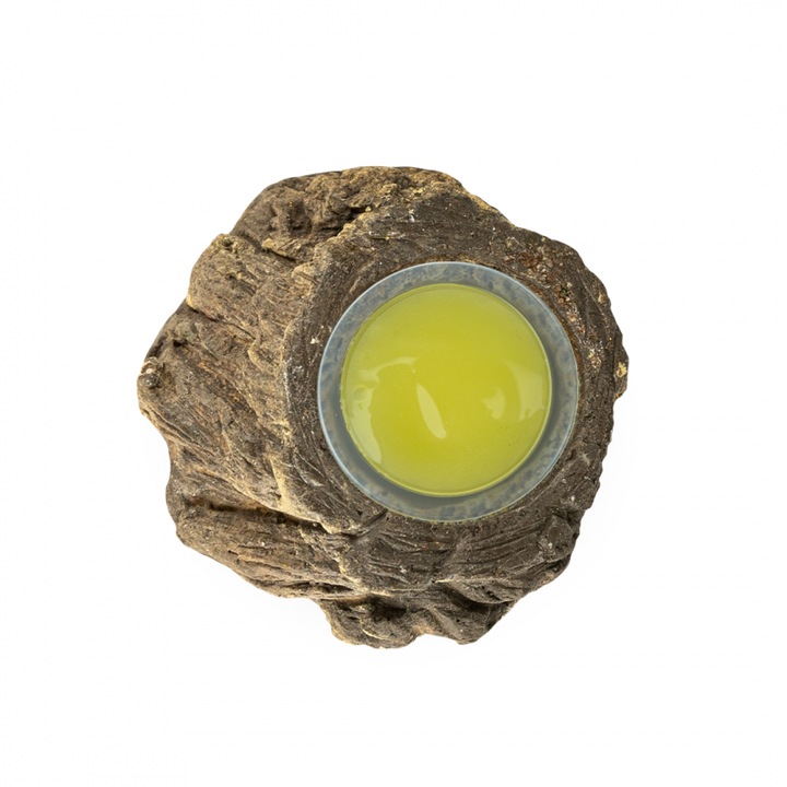 Tál papagájoknak BACK ZOO NATURE, gyanta, könnyen tisztítható