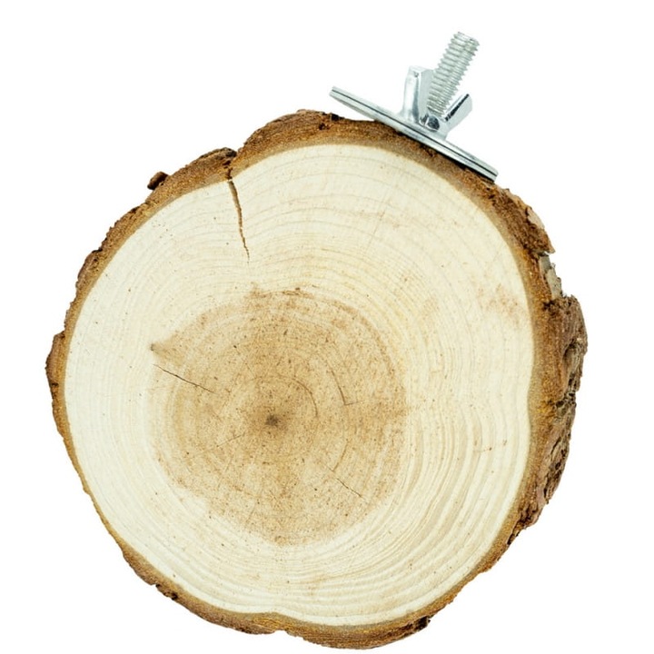 Papagáj falap, Greenwood, Fa, 8 cm, 260 g, Világosbarna