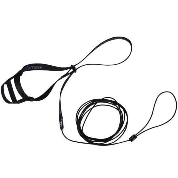 Hám kis papagájokhoz, Aviator, fekete, S méret