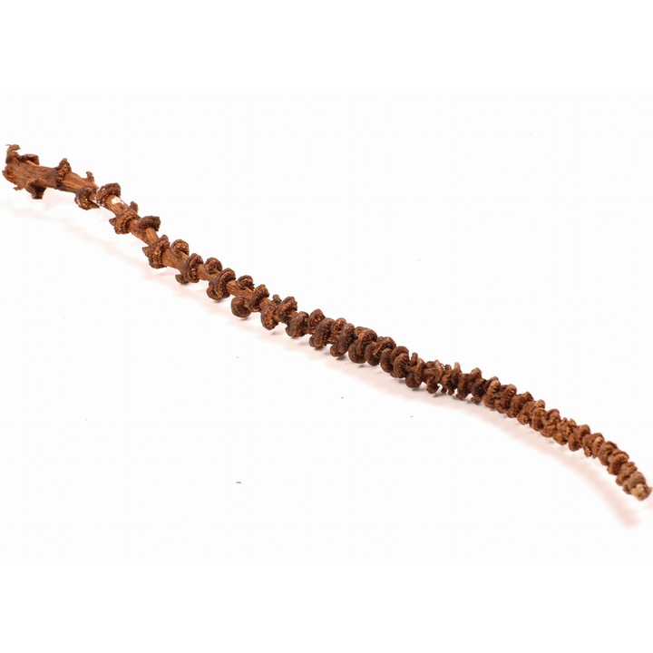 Liana Naturala pentru Papagali, Greenwood, 35-45cm, Maro