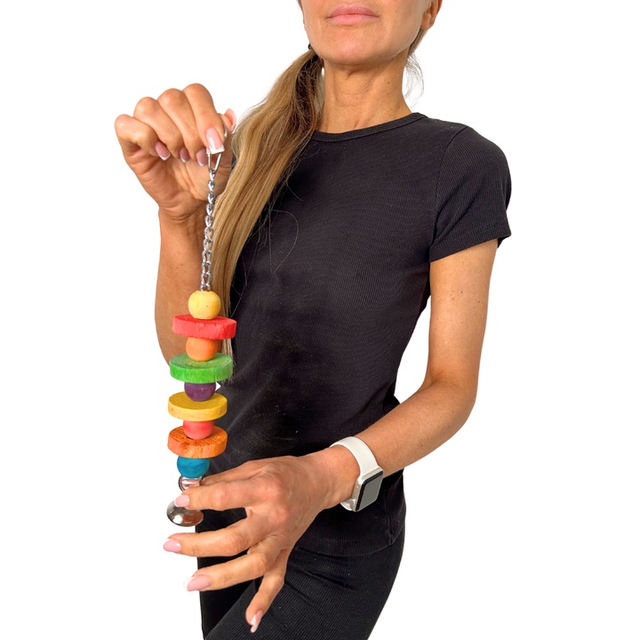 Jucarie Greenwood, pentru papagali mici, multicolor, 30x4cm