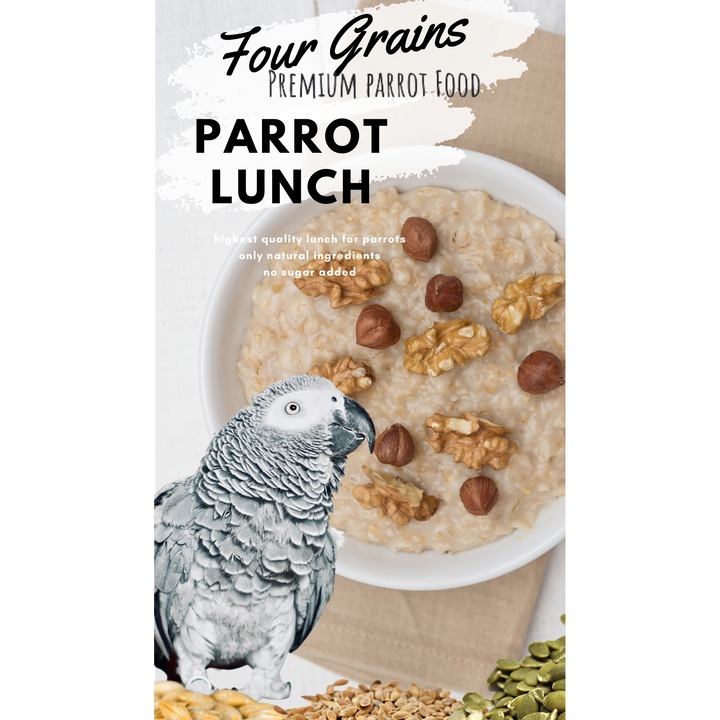 Храна за папагали Premium Parrot Food, Four Grains Parrot Breakfast, богата на фибри, 100гр