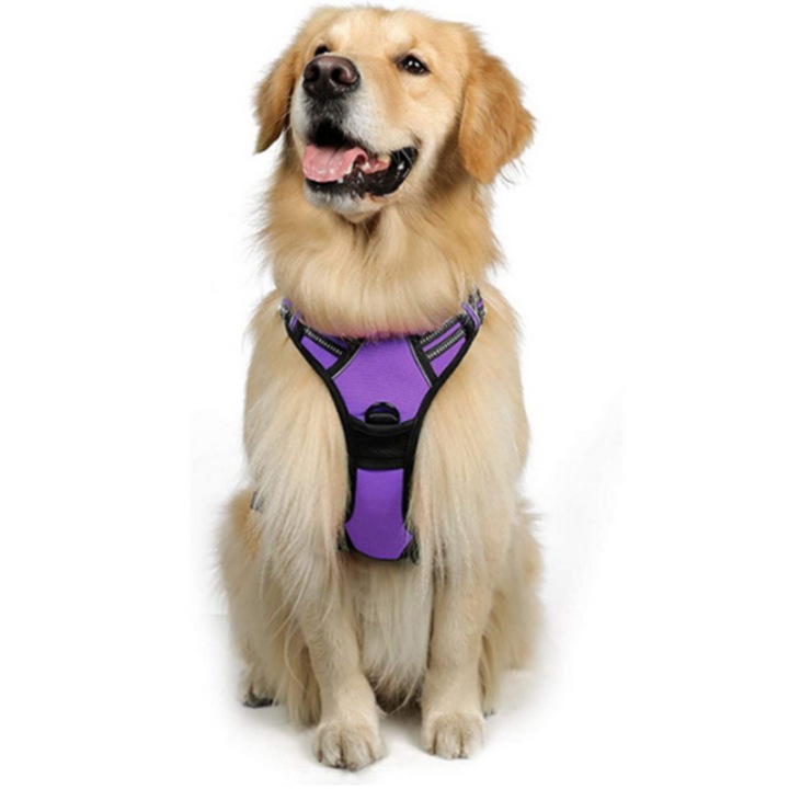 Ham pentru caini, AMRINUGL, nylon, ajustabil, cu 2 clipsuri pentru lesa, reflectorizant, mov, L