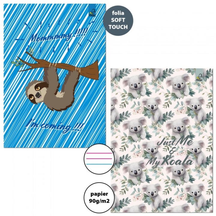 Set 5 Caiete A4, EV-Corp, 32 file, liniate, mix culori, 21x29.5cm