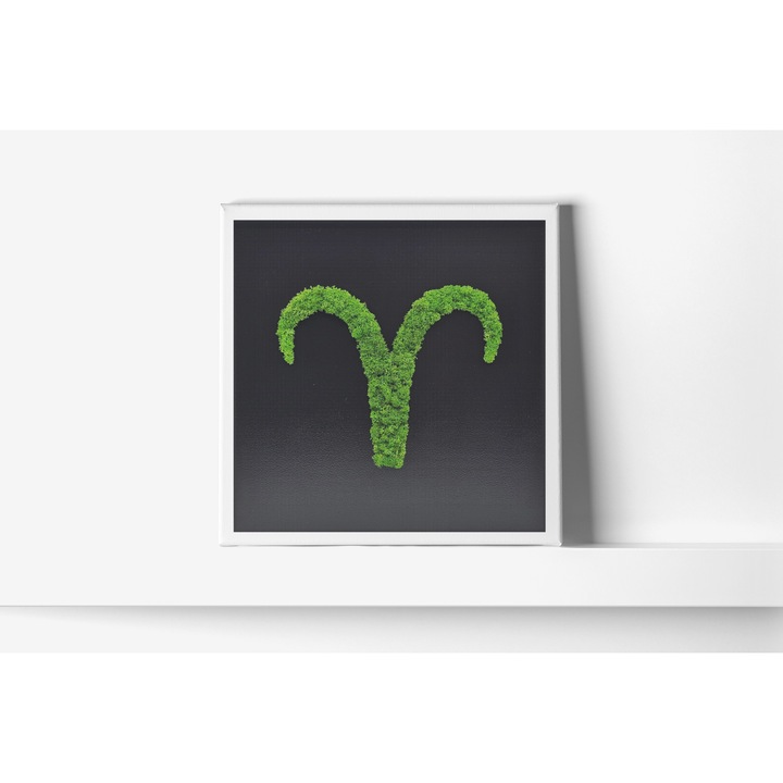 Tablou Zodiac cu Licheni Naturali Stabilizati Berbec