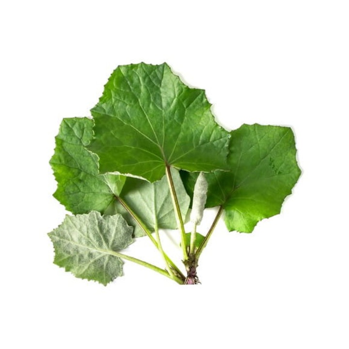 EQUIHERBS frunza de podbal 500g, dispozitive medicale uz casnic - eMAG.ro