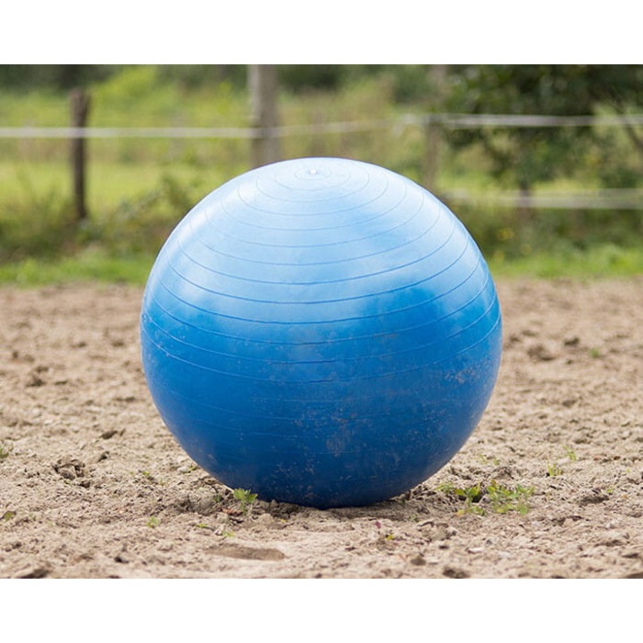 Minge de fotbal pentru cai QHP, albastra, set de jucarii pentru prevenirea plictiselii