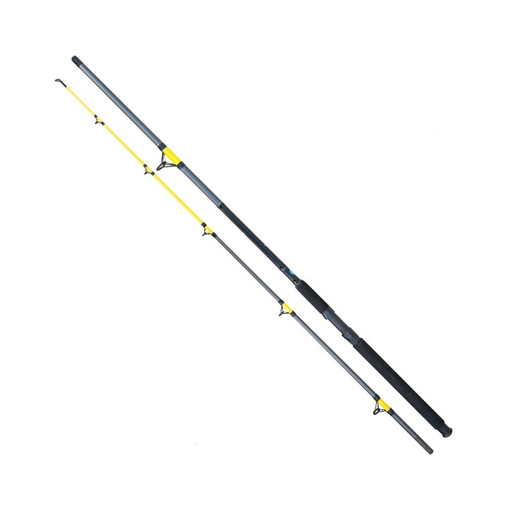 Lanseta Baracuda Catfish Fighter 3.00m/50-150g