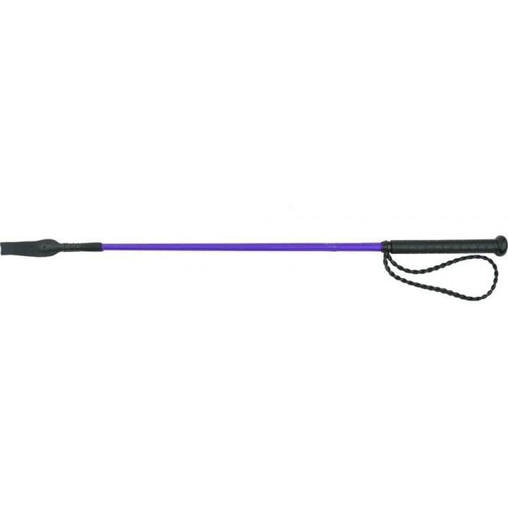 Bici echitatie, Whip&Go, Twist, Plastic, Vucla de cauciuc, 65cm, Violet