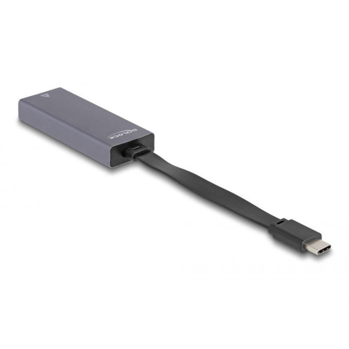 Адаптер DeLock USB Type-C, Сив