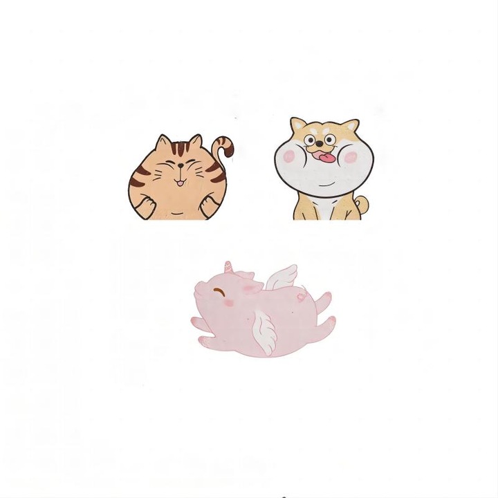 Set 3 bureti, JUDASTAR, absorbtie ridicata, design animale