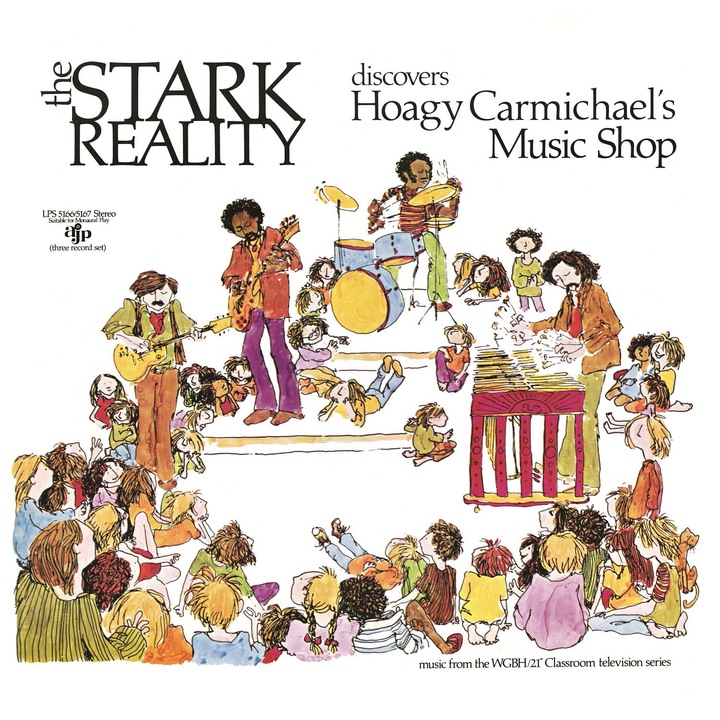 Vinyl Stark Reality, Record, LP