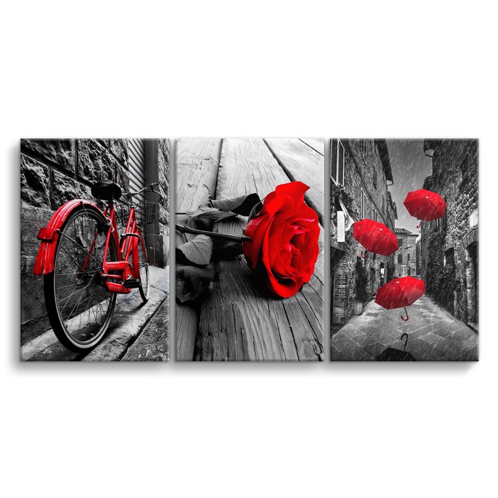 Picturi pe panza triptic pentru perete in dormitor, bicicleta, trandafir rosu 60x120