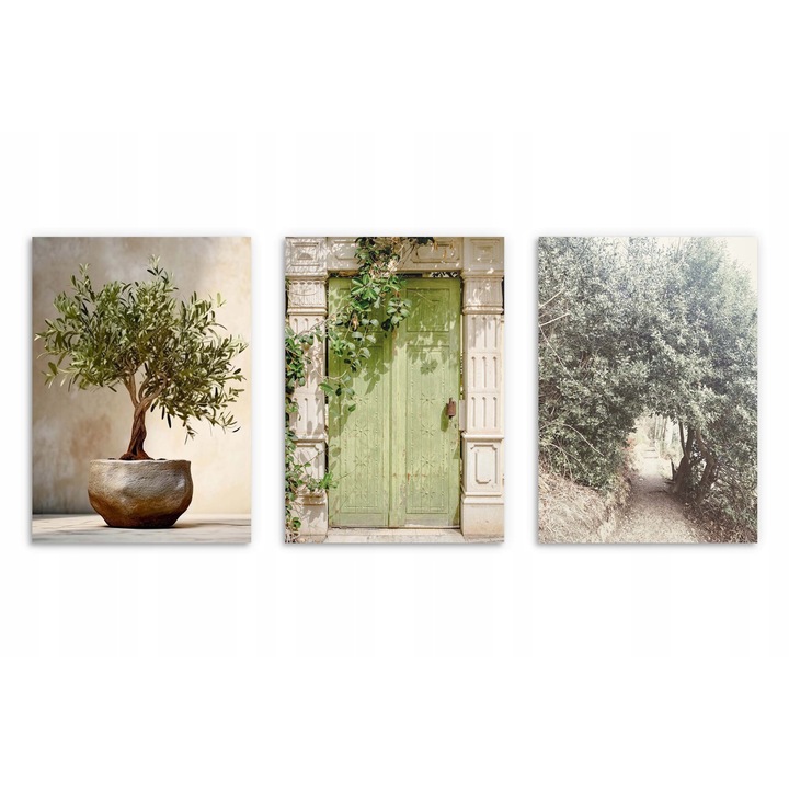 Postere pentru perete in living sau dormitor: Boho verde 3x 50x70cm