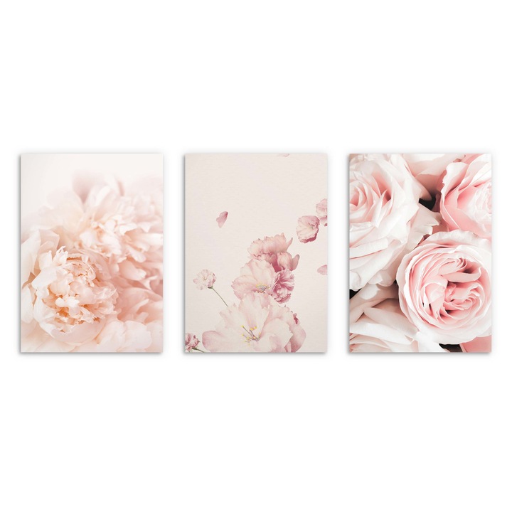 Postere pentru peretele livingului, Flori roz bujori 3x 50x70cm
