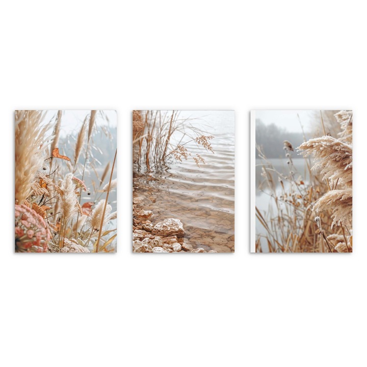 Postere pentru living sau dormitor, Trastie daruri ale naturii 3x 50x70 cm