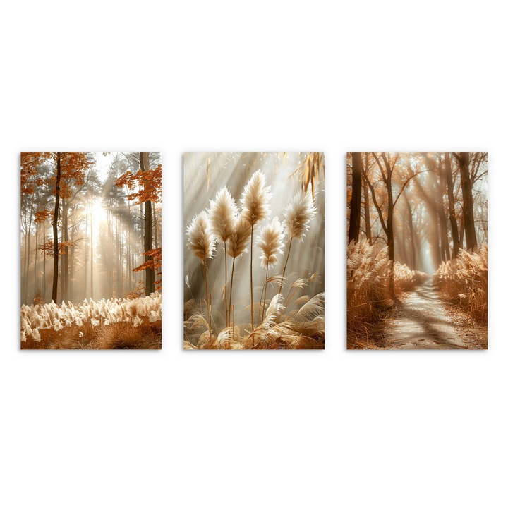 Постер гора в слънчев бохо стил за хол или спалня 3x 30x40