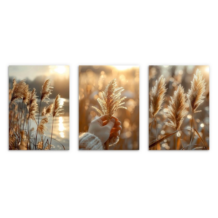 Postere apus trastie boho pentru living sau dormitor 3x 30x40cm