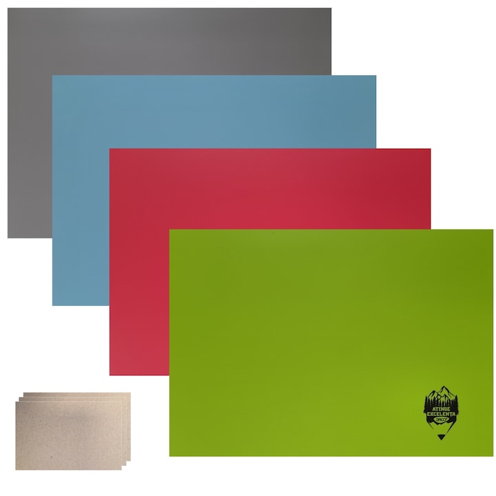 Set 4 caiete BIOLOGIE, A4 (mare), coperta plastic, 24 file + 5 cartonase pentru notite FLR