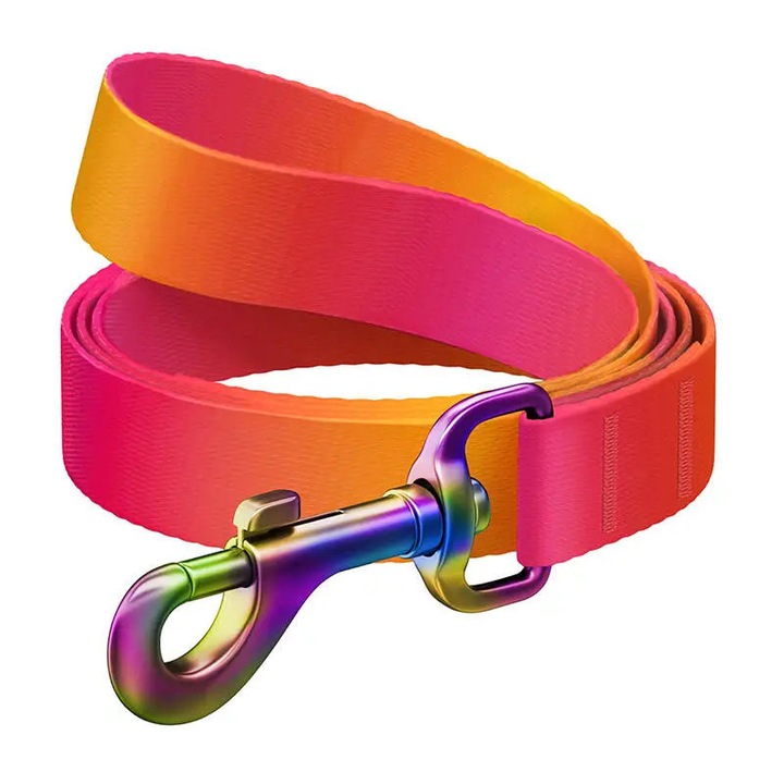 Lesa WAUDOG Gradient pentru caini, Marime S, Lungime 122 cm, Latime 15 mm, Portocaliu