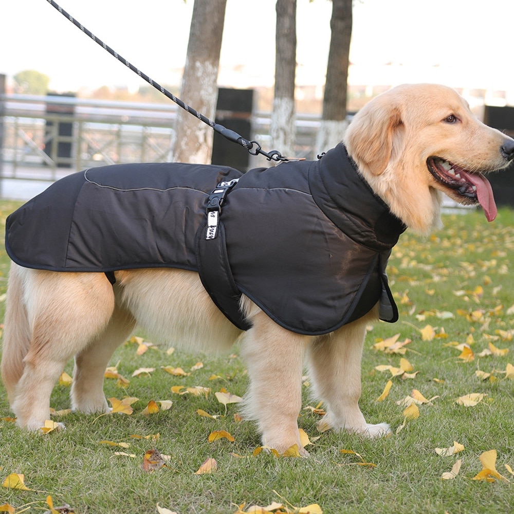 Jacheta de iarna pentru caini, AMRINUGL, impermeabila, banda