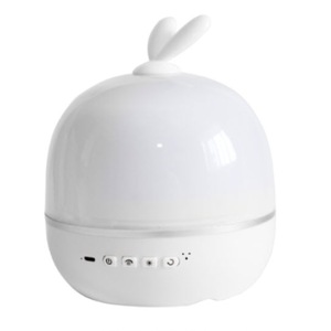 Lampi de veghe copii