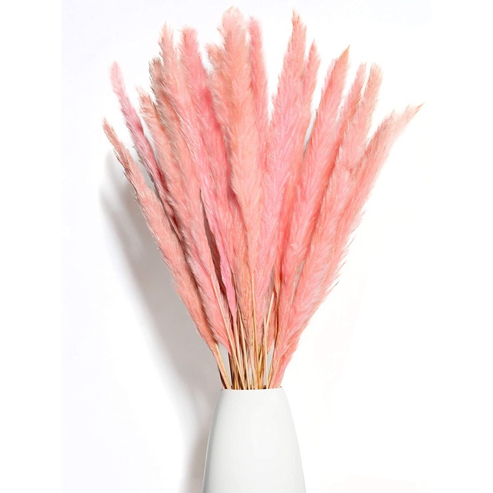 Set 15 bucati Iarba de pampas uscata, roz, 50cm