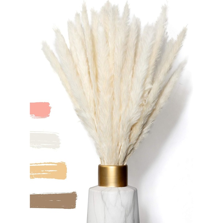 Iarba Pampas uscata, set 15 bucati, alb, 50cm