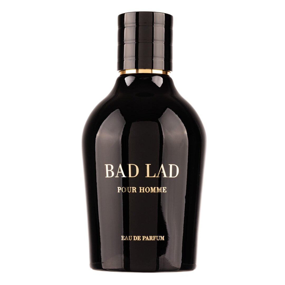 Apa de Toaleta Van Cleef & Arpels pour Homme, Barbati, 100ml - eMAG.ro