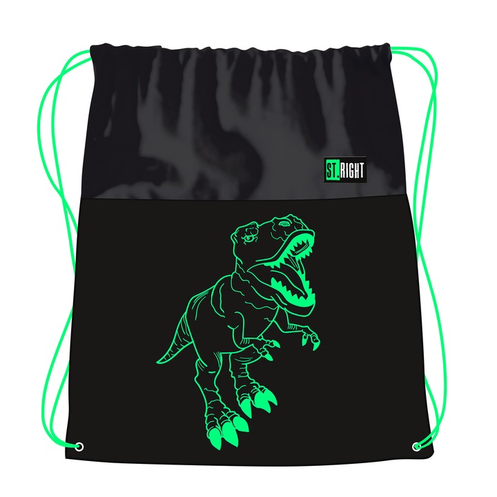 Sac Sport, Colectia St Right - Reflective T-Rex, SO01 43x34cm