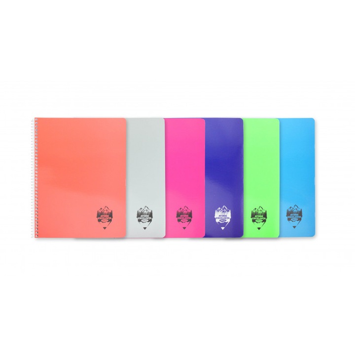 Notebook A4 120 lapos, spirál, karton borító, matematika