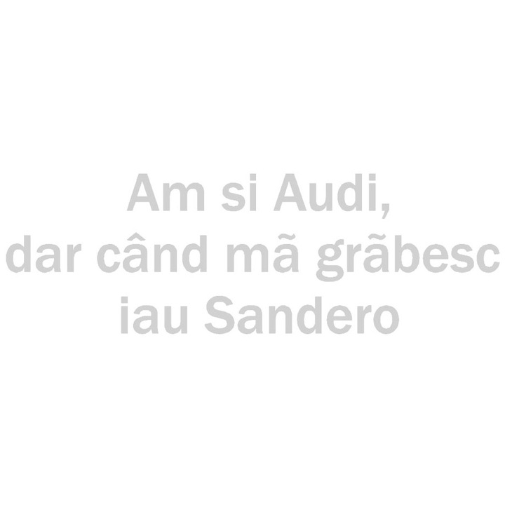 Sticker decorativ auto, Audi-Sandero, 20x6 cm, alb