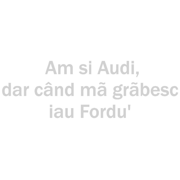 Sticker decorativ auto, Audi-Ford, 20x6 cm, alb