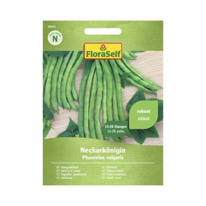 Bulbi, seminte si rasaduri