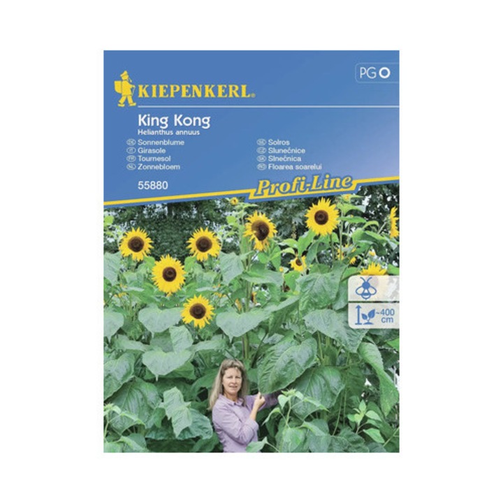 Seminte Flori Kiepenkerl Floarea Soarelui King Kong