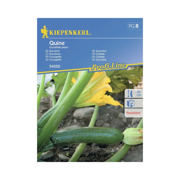 Seminte Legume Kiepenkerl Dovlecei Quine F1