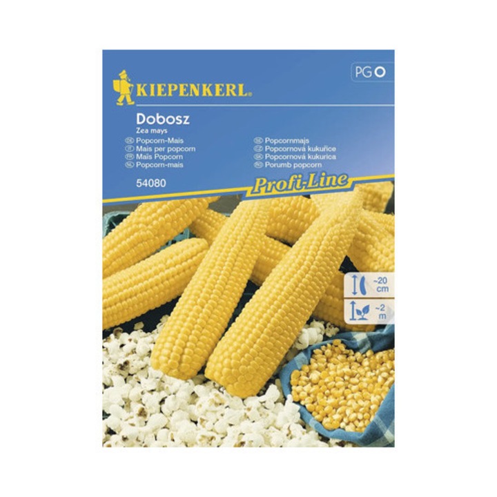 Seminte Legume Kiepenkerl Porumb Pentru Popcorn Dobosz F1