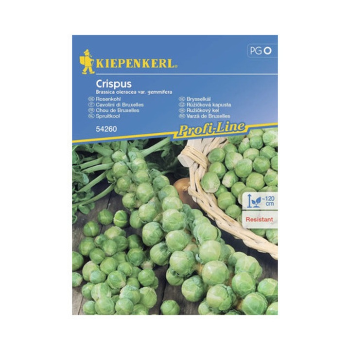 Seminte Legume Kiepenkerl Varza De Bruxelles Crispus F1