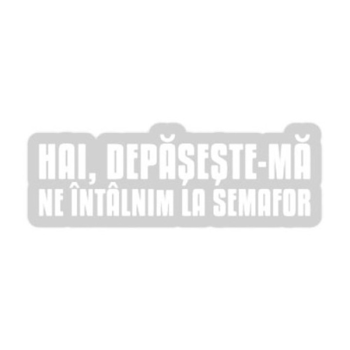 Sticker decorativ perete / geam, Ne vedem la vara, 15x9 cm, alb