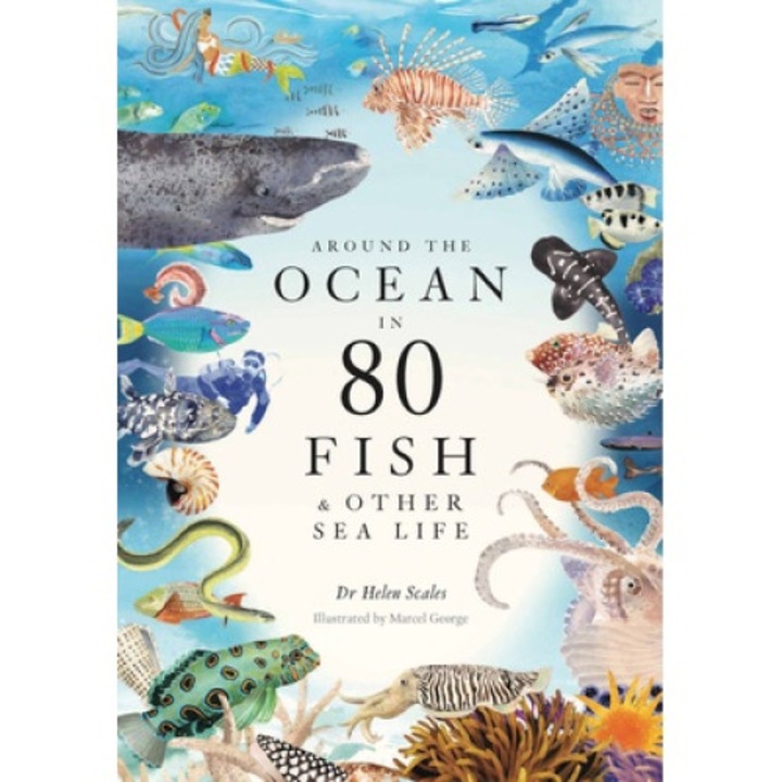 Around The Ocean In 80 Fish And Other Sea Life - Helen Scales
