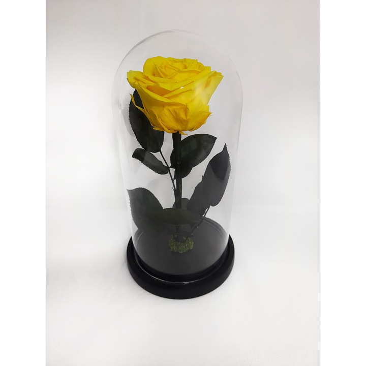 Prémium sárga kriogén rózsa üvegkupolában 12x25cm