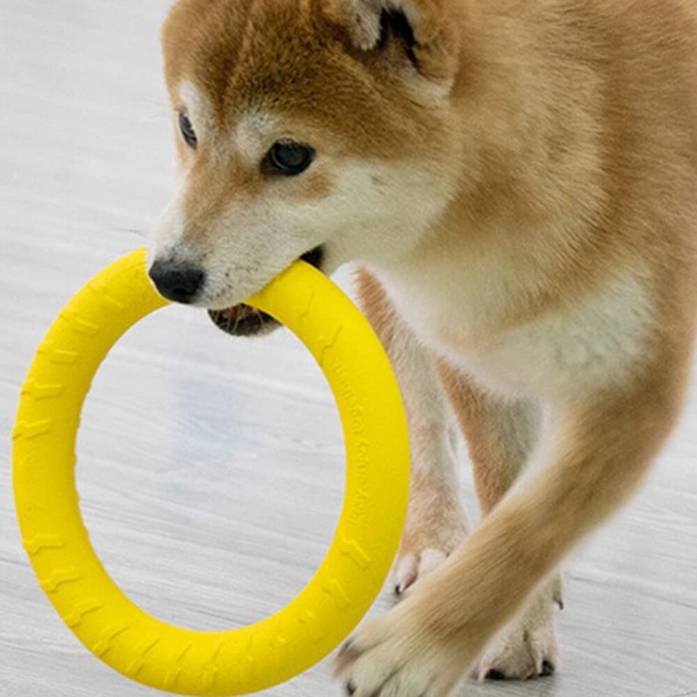 Jucarie plutitoare pentru caini, QttvbTna, durabila, usor de