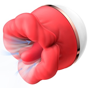 Vibratoare si Dildo-uri