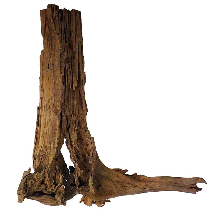 Radacina decorativa pentru acvariu, Philippines Classic Driftwood, lemn de mangrova din apa, marime XXL, 70cm - 110cm