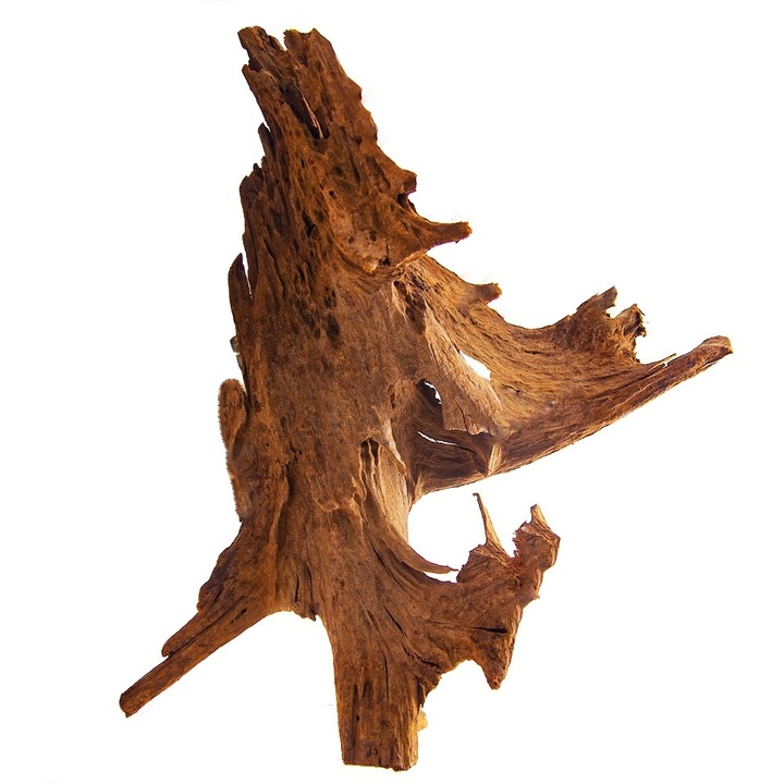 Radacina decorativa pentru acvariu, Philippines Classic Driftwood XL, lemn de mangrova din apa, 40cm - 50cm