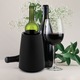 Frapiera Vin din Plastic, Negru, cu Element de Racire 15x15x21cm