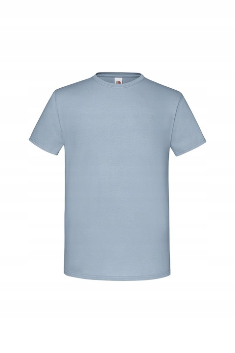 Мъжка тениска, Fruit of the Loom, памук, синьо, L INTL